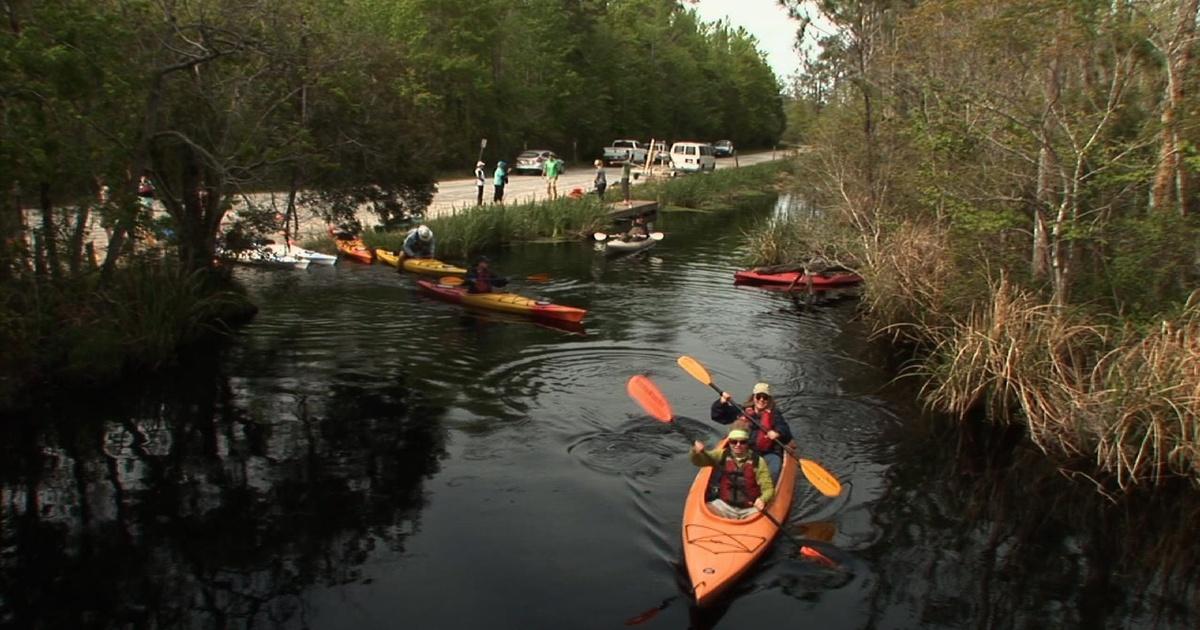 Alligator River Kayaking NC Weekend PBS
