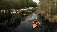 Coastal Kayak Touring Company on the Alligator River