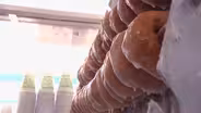 Britt's Donuts