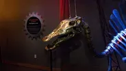 Dinosaurs in Motion