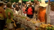 North Carolina Apple Festival