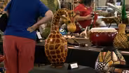 NC Gourd Festival