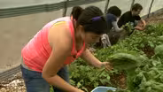 CCCC Sustainable Agriculture | NC Now | UNC-TV