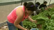 CCCC Sustainable Agriculture | NC Now | UNC-TV