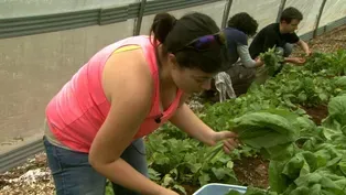 CCCC Sustainable Agriculture | NC Now | UNC-TV