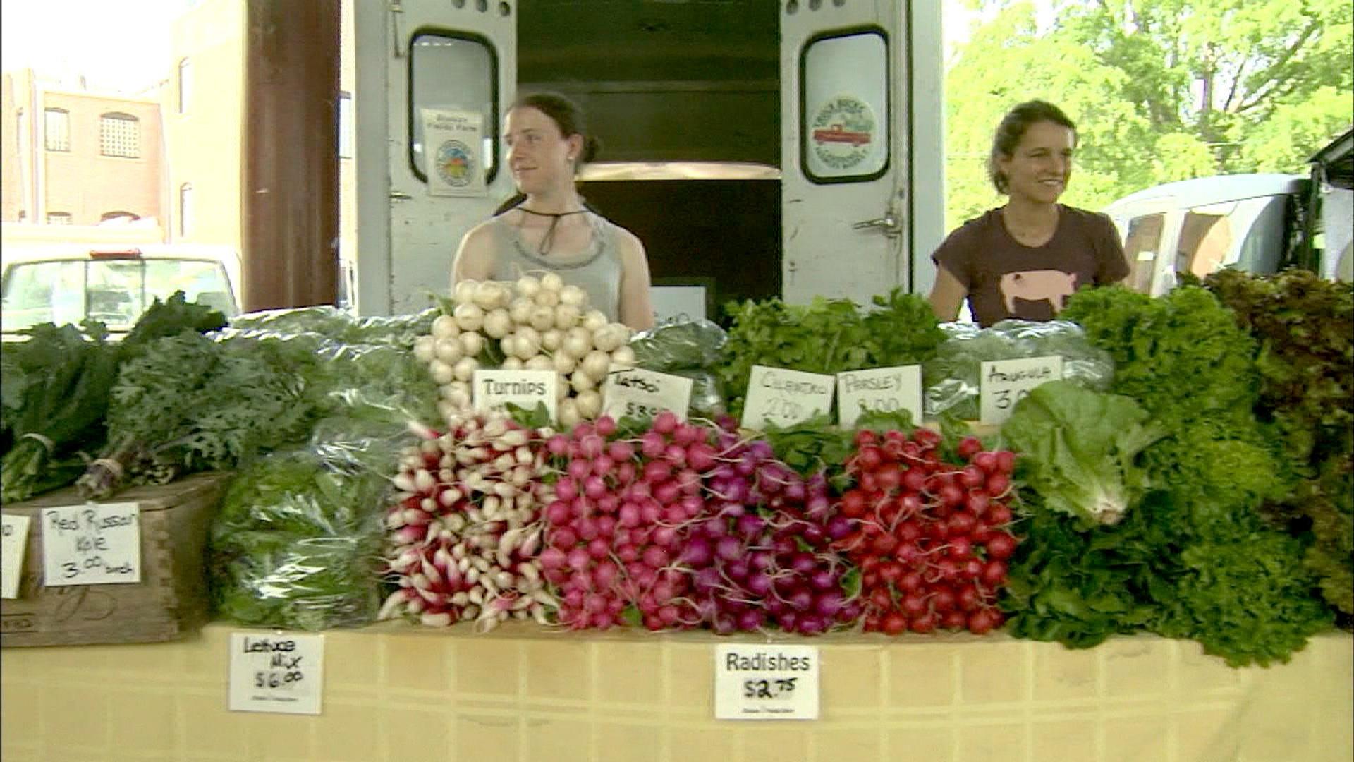 Growing Radishes  N.C. Cooperative Extension