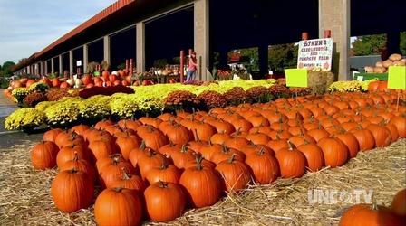 Video thumbnail: North Carolina Farm Fresh Fall Harvest