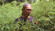 Bamboo Country