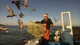 Video thumbnail: Our State Living on the Water