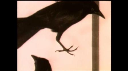 Video thumbnail: PBS NC Arts The Rough South of Harry Crews