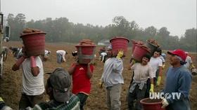 Video thumbnail: UNC-TV Presents Harvest of Dignity (English with Spanish closed captions)