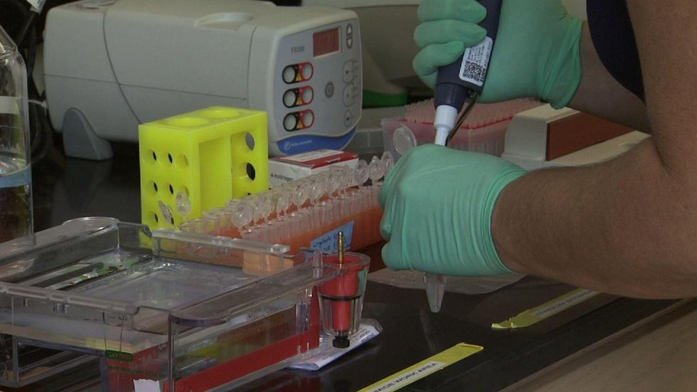 Rapid Water Testing image