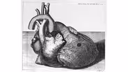 Switching Heart Cells