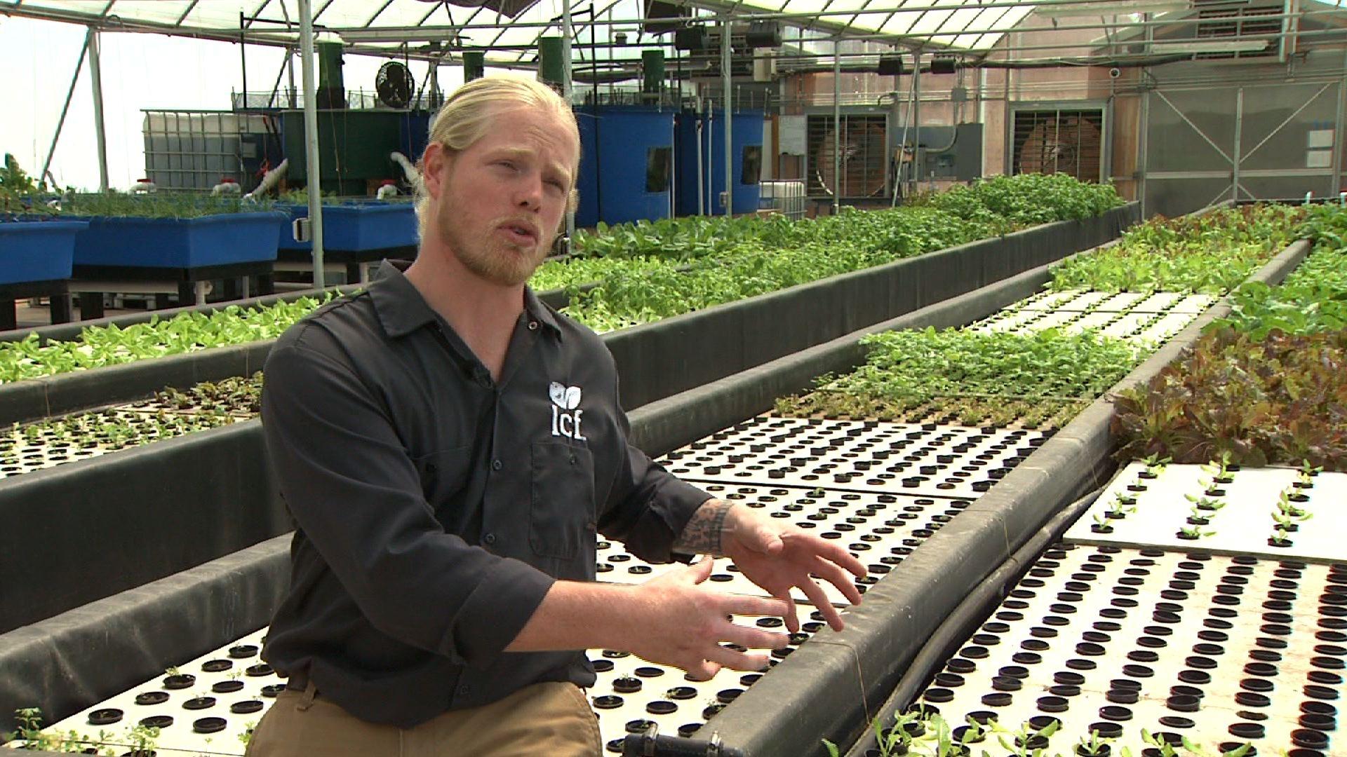 video: aquaponics: farming for the future watch unc-tv