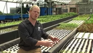 Aquaponics: Farming For The Future