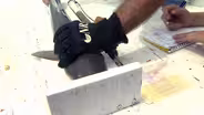 Shark Tagging