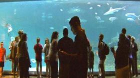 Video thumbnail: UNC-TV Science NC Science Now Special: Up Close & Coastal