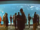 NC Science Now Special: Up Close & Coastal