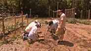 Healing Gardens