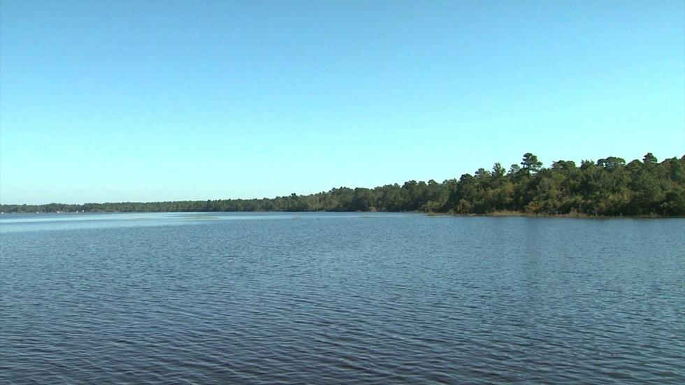Carolina Bays image