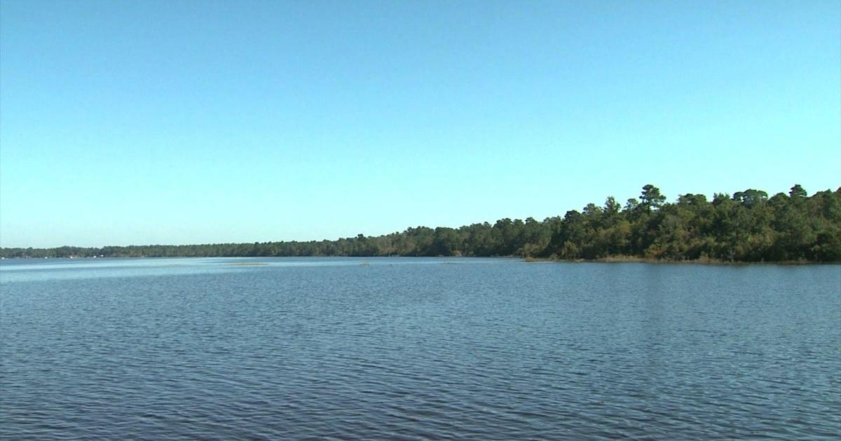 SCI NC Carolina Bays PBS