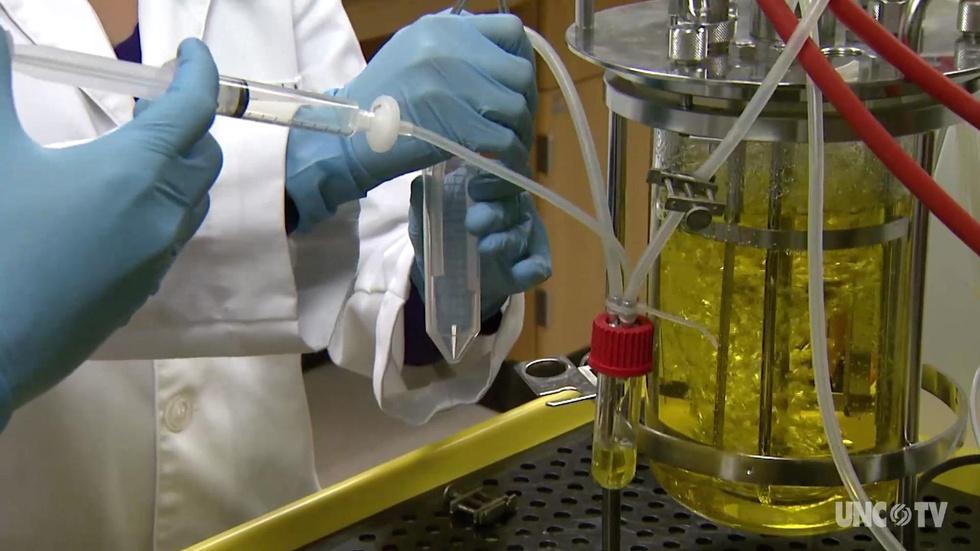 Bioprocessing image