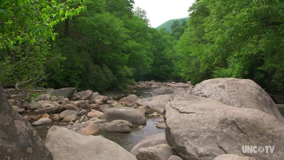 NC Science Now: Great Smoky Mtn Air image