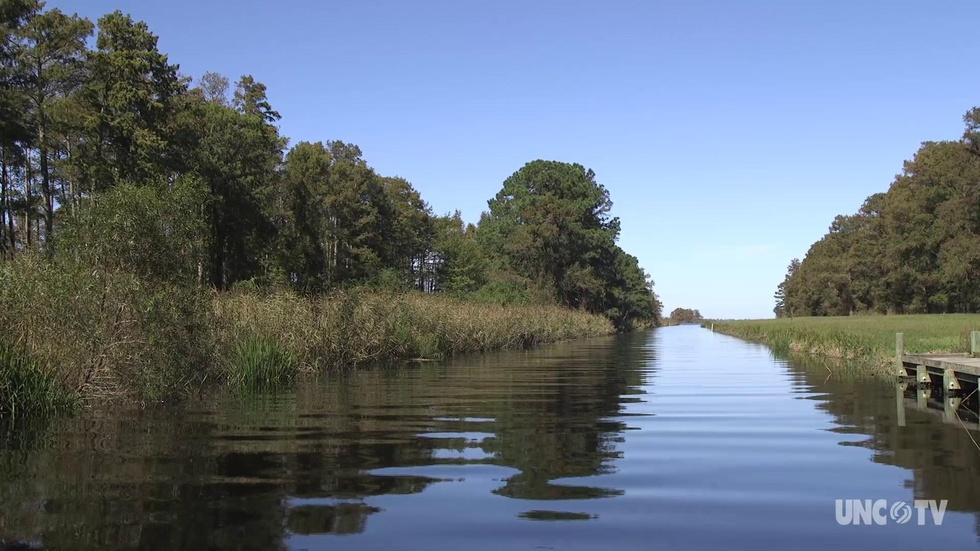 NC Science Now: Saving Lake Mattamuskeet image