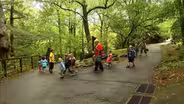 Western North Carolina Nature Center