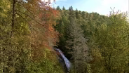 NC Museum of Forestry
