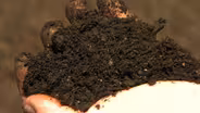 Soil Science
