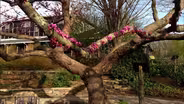 The North Carolina Arboretum