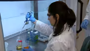 Kenan Fellows Program Update