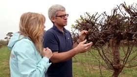 Video thumbnail: From the Vineyard Sanctuary Vineyard / Hanover Park