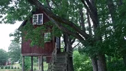 Treehouse Vineyard / Biltmore 
