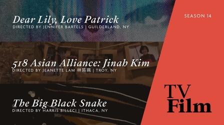 Video thumbnail: TvFilm Dear Lily, Love Patrick | Jinah Kim | The Big Black Snake