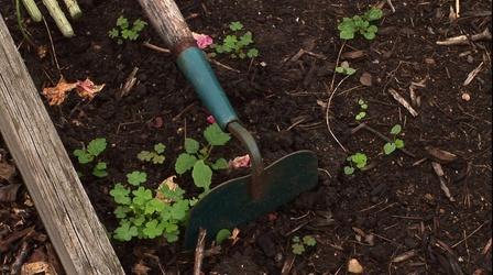 Video thumbnail: Greenlife Pennsylvania Pennsylvania Horticultural Society