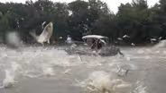 Invasive Species of Fish