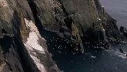 The Irish Trailer