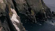 The Irish Trailer