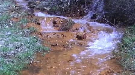 Video thumbnail: WVIA Original Documentary Films Hope for Polluted Waters