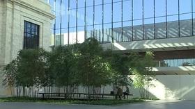 Video thumbnail: Applause Beyond the Dish; Cleveland Museum of Art; Lilly Chocolate