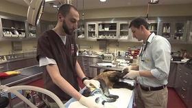 Video thumbnail: Great Job! Dr. Mike Selig, Cleveland Metroparks Zoo