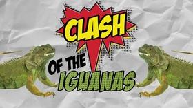 Video thumbnail: Math Mess Clash of the Iguanas