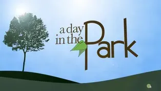 A Day in the Park