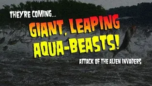 Attack of the Alien Invaders