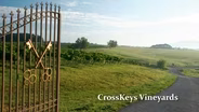Cross Keys Vineyards