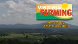 Virginia Vinegar Works