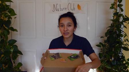 Video thumbnail: Camp TV Nature Explorer Toolkit