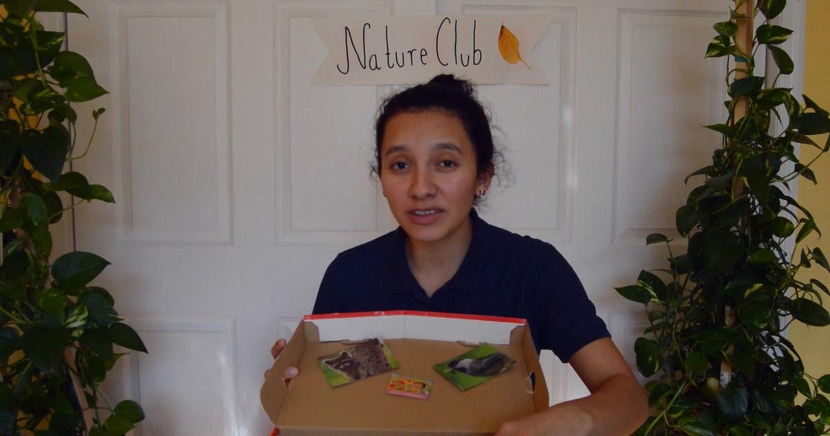 Camp tv | nature explorer toolkit | season 2020